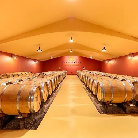 Chateau La Haye Wine Estate - Sleeps 12