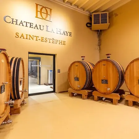 Chateau La Haye Wine Estate - Sleeps 12 Feriehus Saint-Estèphe
