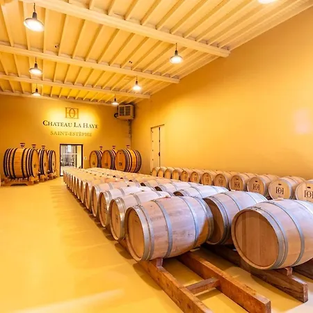 Feriehus Chateau La Haye Wine Estate - Sleeps 12 Saint-Estèphe