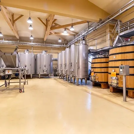 Feriehus Chateau La Haye Wine Estate - Sleeps 12 Saint-Estèphe